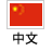 中文